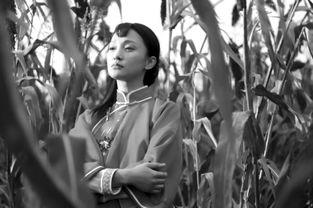 电视剧红高粱演员表,实力派明星齐聚演绎传奇人生